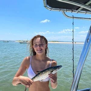 Meet your Posher, Lilly